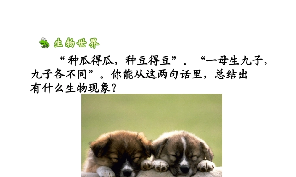 八年级生物下册 7.2.1 基因控制生物的性状课件2 （新版）新人教版