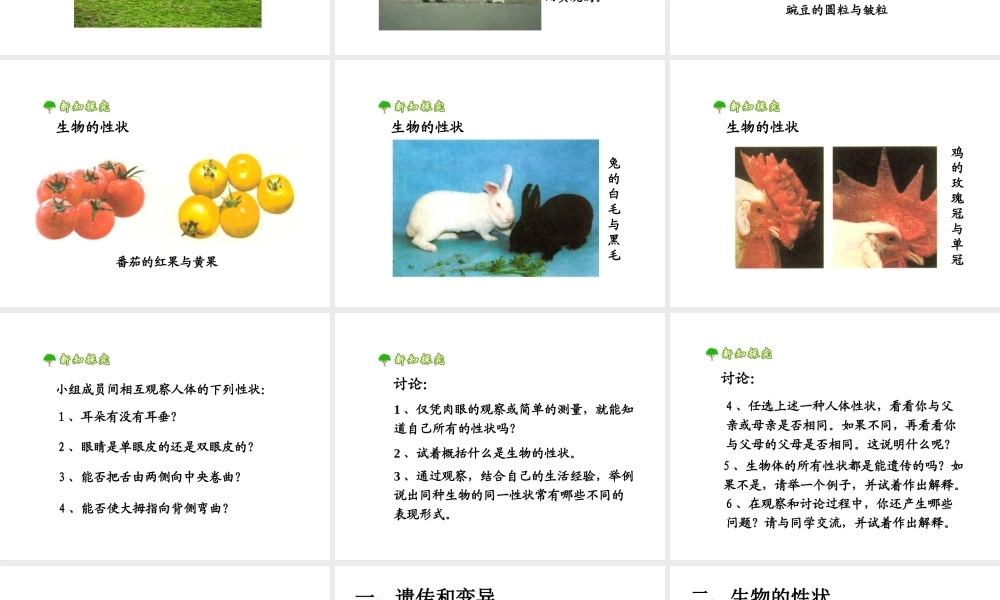 八年级生物下册 7.2.1 基因控制生物的性状课件2 （新版）新人教版