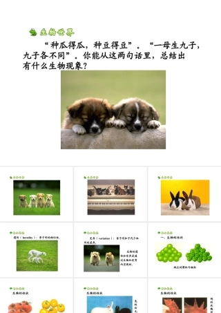 八年级生物下册 7.2.1 基因控制生物的性状课件2 （新版）新人教版