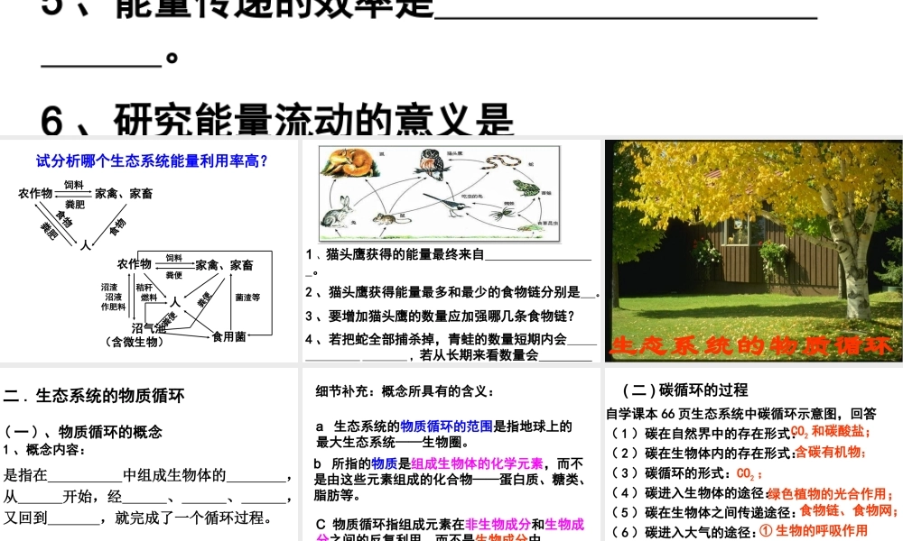 八年级生物下册 6.2.3 能量流动和物质循环课件2 （新版）济南版-（新版）济南级下册生物课件