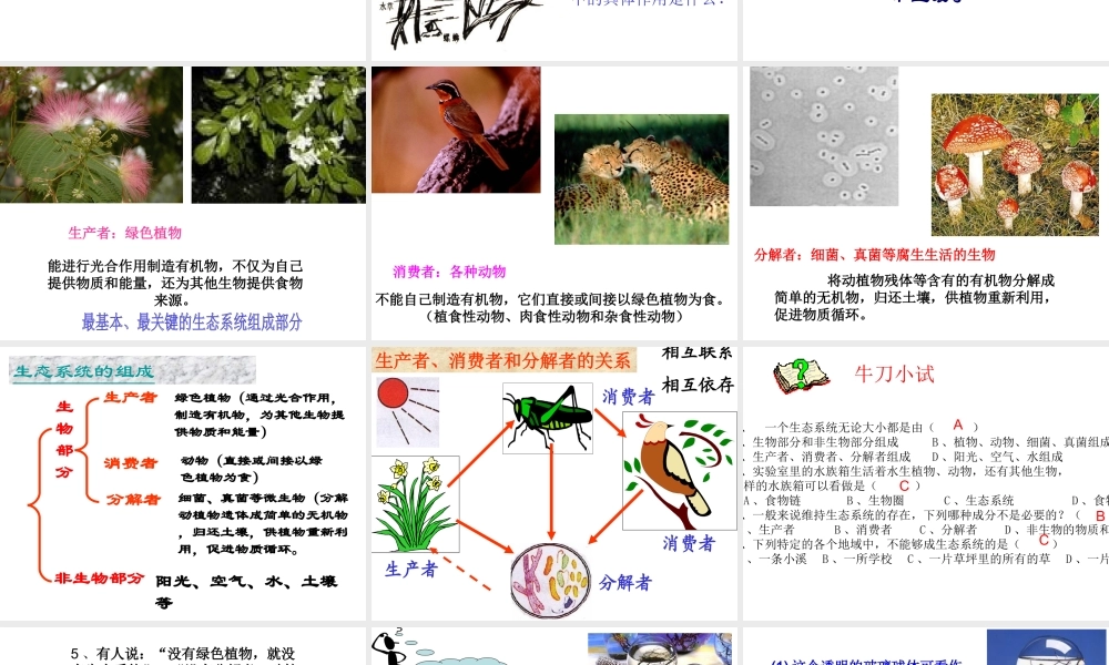 八年级生物下册 8.2.1 生态系统的组成课件 济南版-济南版初中八年级下册生物课件