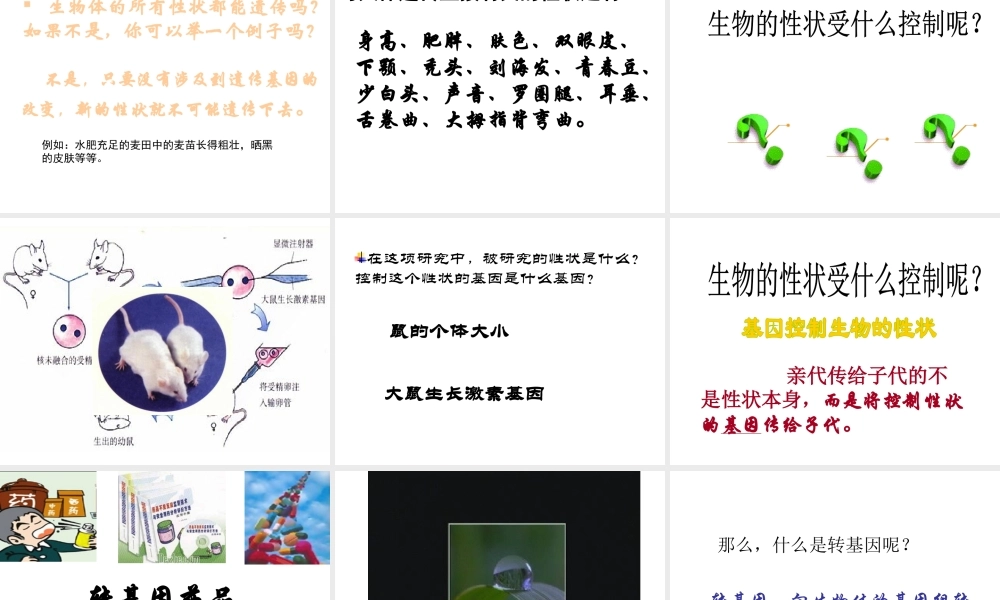 八年级生物下册 7.2.1 基因控制生物的性状课件2 新人教版