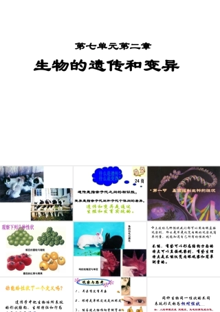 八年级生物下册 7.2.1 基因控制生物的性状课件2 新人教版