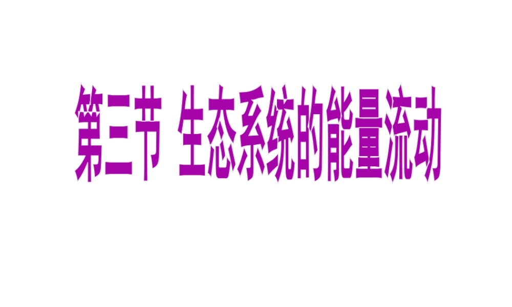八年级生物下册 6.2.3 生态系统的能量流动课件 （新版）济南版-（新版）济南版初中八年级下册生物课件