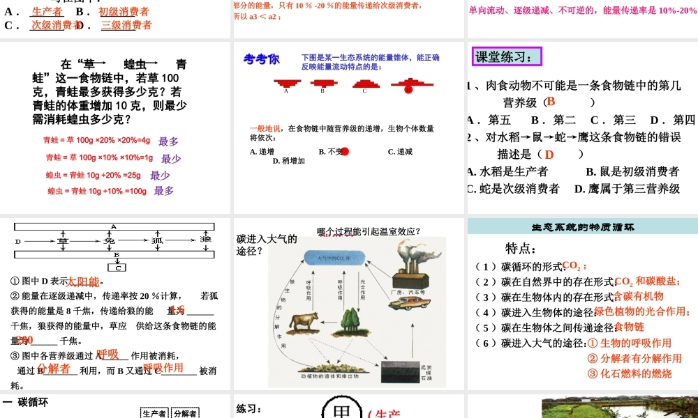 八年级生物下册 6.2.3 生态系统的能量流动课件 （新版）济南版-（新版）济南版初中八年级下册生物课件