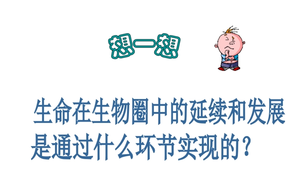 八年级生物下册 7.2.1 基因控制生物的性状课件3 （新版）新人教版