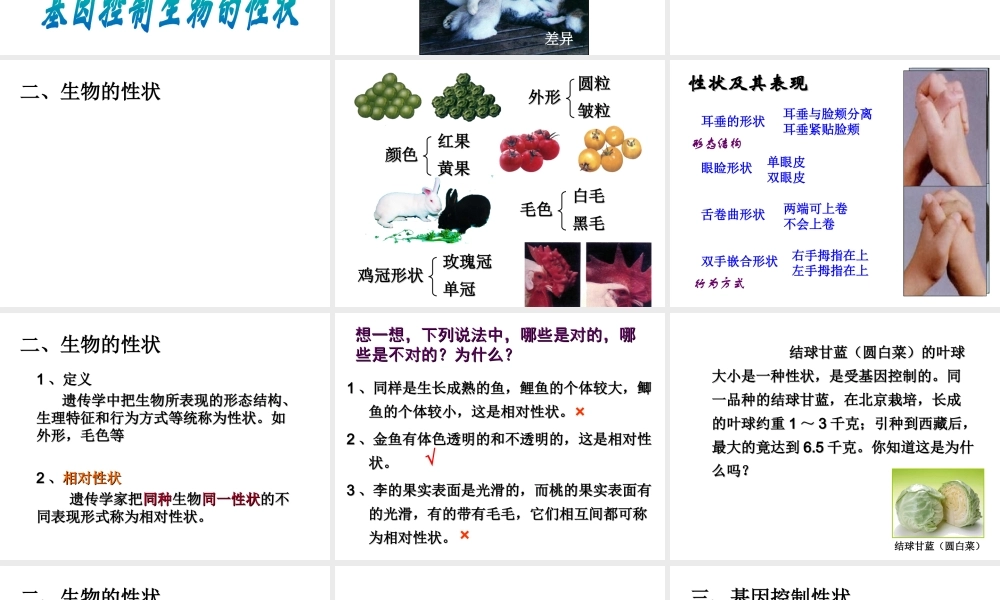 八年级生物下册 7.2.1 基因控制生物的性状课件3 （新版）新人教版