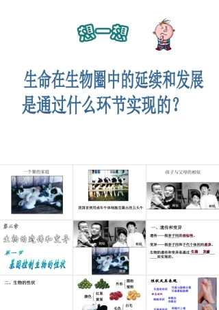 八年级生物下册 7.2.1 基因控制生物的性状课件3 （新版）新人教版