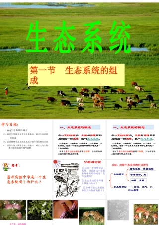 八年级生物下册 8.2.1 生态系统的组成课件 济南版-济南级下册生物课件