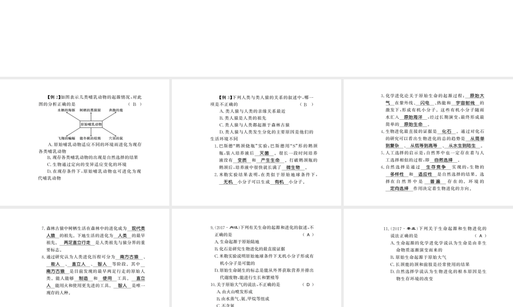 八年级生物下册 21 生命的发生和发展整理与复习课件 （新版）北师大版-（新版）北师大级下册生物课件