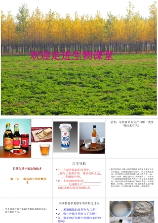 八年级生物下册 23.1 源远流长的发酵技术（第1课时）课件 （新版）苏教版-（新版）苏教版初中八年级下册生物课件