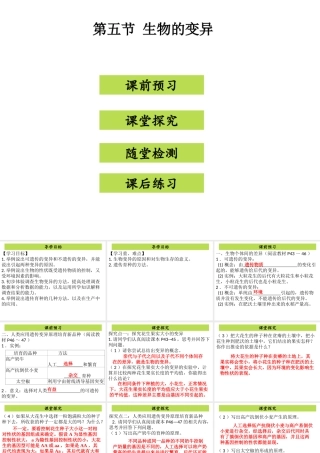 八年级生物下册 7.2.5生物的变异课件（新版）新人教版-（新版）新人教级下册生物课件