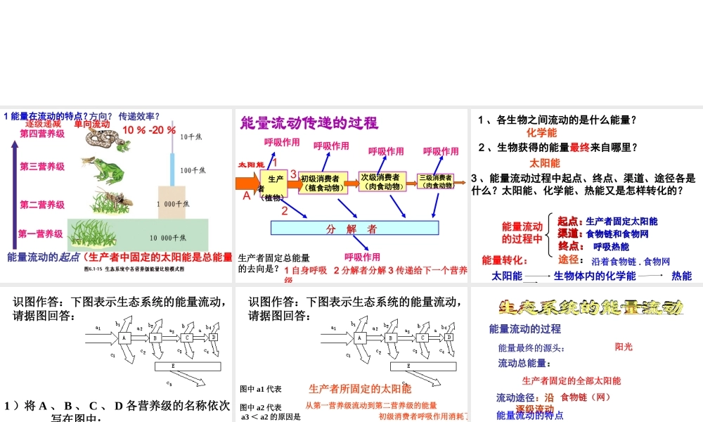 八年级生物下册 6.2.3 生态系统的能量流动课件 （新版）济南版-（新版）济南级下册生物课件