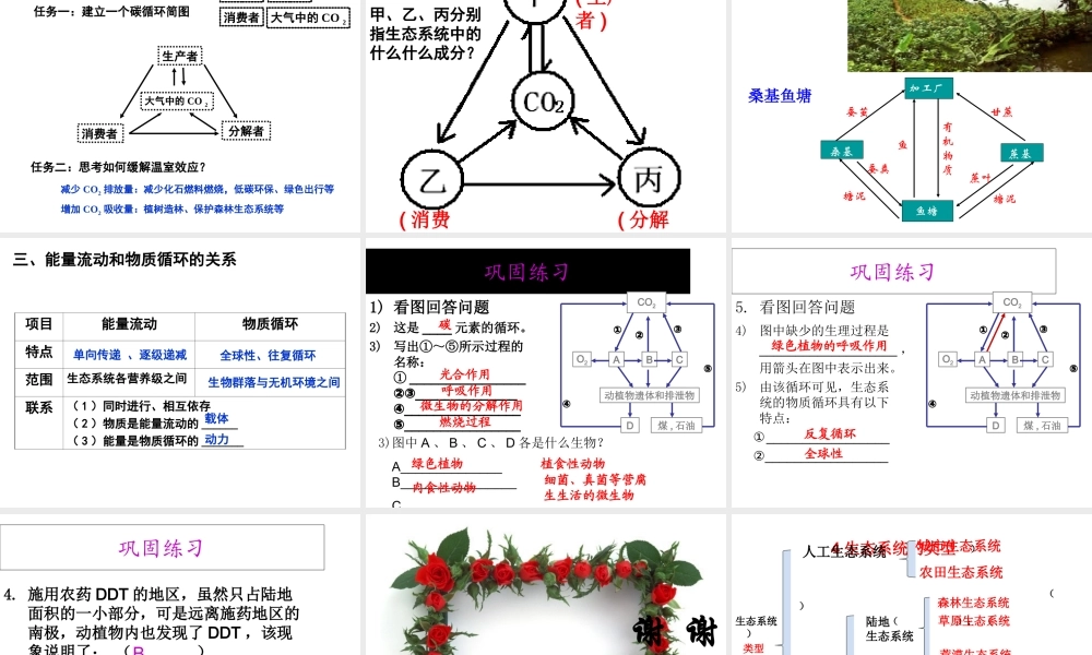 八年级生物下册 6.2.3 生态系统的能量流动课件 （新版）济南版-（新版）济南级下册生物课件