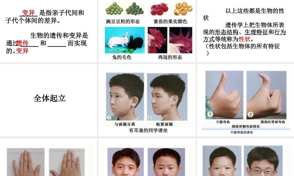 八年级生物下册 7.2.1 基因控制生物的性状课件4 （新版）新人教版