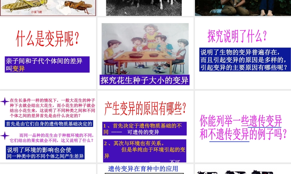 八年级生物下册 7.2.5生物的变异课件1 （新版）新人教版-（新版）新人教版初中八年级下册生物课件