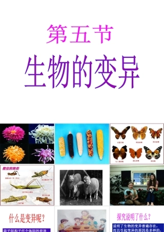 八年级生物下册 7.2.5生物的变异课件1 （新版）新人教版-（新版）新人教版初中八年级下册生物课件