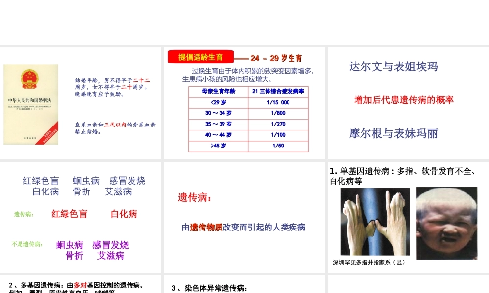 八年级生物下册 6.2.3 遗传病与优生课件 （新版）冀教版-（新版）冀教版初中八年级下册生物课件