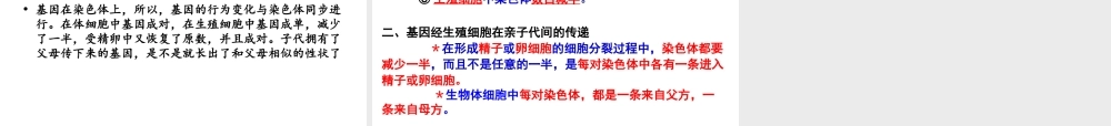 八年级生物下册 7.2.1 基因在亲子代间的传递课件 （新版）新人教版-（新版）新人教级下册生物课件