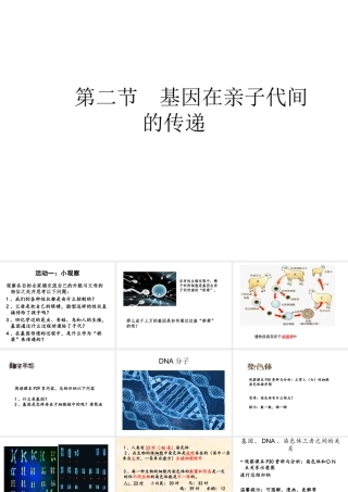 八年级生物下册 7.2.1 基因在亲子代间的传递课件 （新版）新人教版-（新版）新人教级下册生物课件