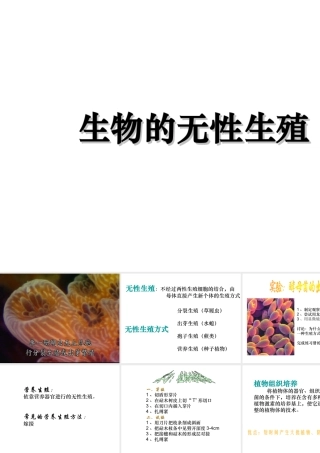 八年级生物下册 21.1 生物的无性生殖课件 （新版）苏教版-（新版）苏教版初中八年级下册生物课件