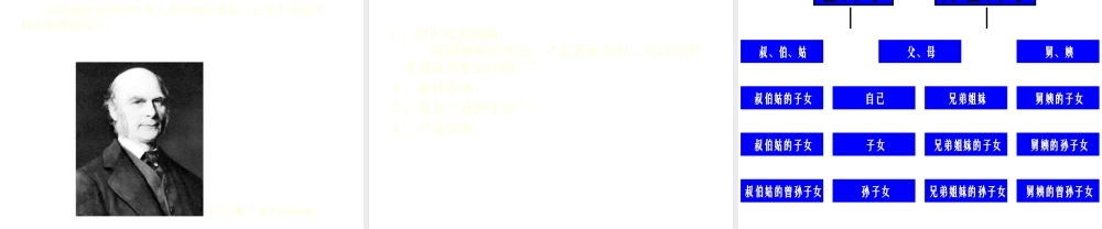 八年级生物下册 6.2.3 遗传病与优生课件 冀教版-冀教版初中八年级下册生物课件