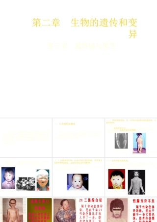 八年级生物下册 6.2.3 遗传病与优生课件 冀教版-冀教版初中八年级下册生物课件