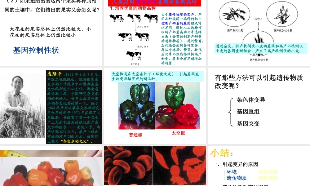 八年级生物下册 7.2.5生物的变异课件2 （新版）新人教版-（新版）新人教级下册生物课件