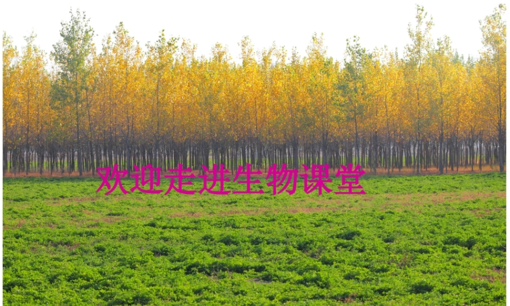 八年级生物下册 23.1 源远流长的发酵技术（第1课时）课件 （新版）苏教版-（新版）苏教级下册生物课件