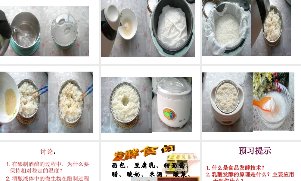 八年级生物下册 23.1 源远流长的发酵技术（第1课时）课件 （新版）苏教版-（新版）苏教级下册生物课件