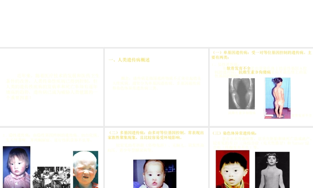 八年级生物下册 6.2.3 遗传病与优生课件 冀教版-冀教级下册生物课件