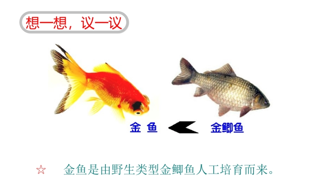 八年级生物下册 7.2.5生物的变异课件3 （新版）新人教版-（新版）新人教版初中八年级下册生物课件