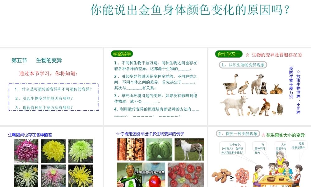 八年级生物下册 7.2.5生物的变异课件3 （新版）新人教版-（新版）新人教版初中八年级下册生物课件