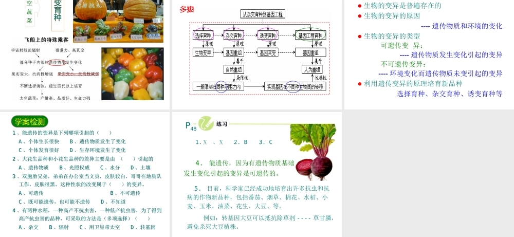 八年级生物下册 7.2.5生物的变异课件3 （新版）新人教版-（新版）新人教版初中八年级下册生物课件