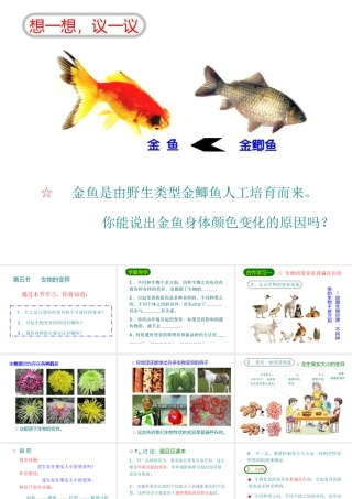 八年级生物下册 7.2.5生物的变异课件3 （新版）新人教版-（新版）新人教版初中八年级下册生物课件
