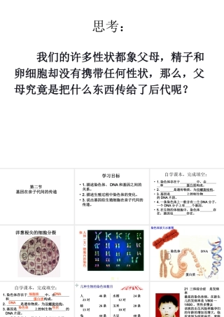 八年级生物下册 7.2.1 基因在亲子代间的传递课件2 （新版）新人教版-（新版）新人教版初中八年级下册生物课件
