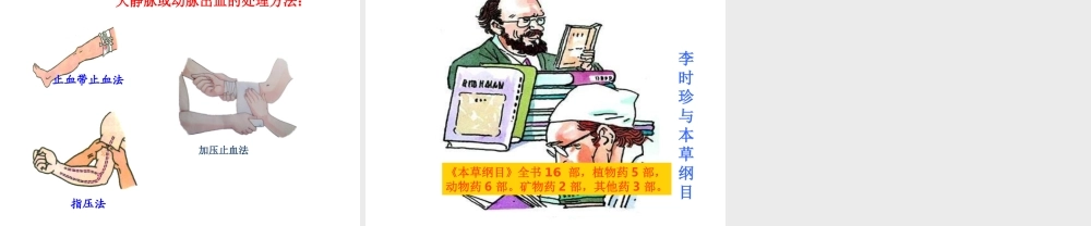 八年级生物下册 8.2用药与急救课件1 （新版）新人教版-（新版）新人教级下册生物课件