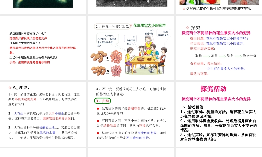 八年级生物下册 7.2.5生物的变异课件4 （新版）新人教版-（新版）新人教版初中八年级下册生物课件