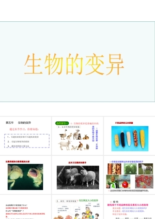 八年级生物下册 7.2.5生物的变异课件4 （新版）新人教版-（新版）新人教版初中八年级下册生物课件