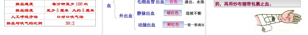 八年级生物下册 8.2用药与急救课件2 （新版）新人教版-（新版）新人教版初中八年级下册生物课件