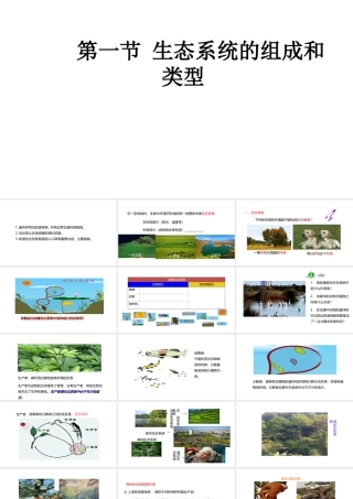八年级生物下册 7.2.1 生态系统的组成和类型课件 （新版）冀教版-（新版）冀教版初中八年级下册生物课件