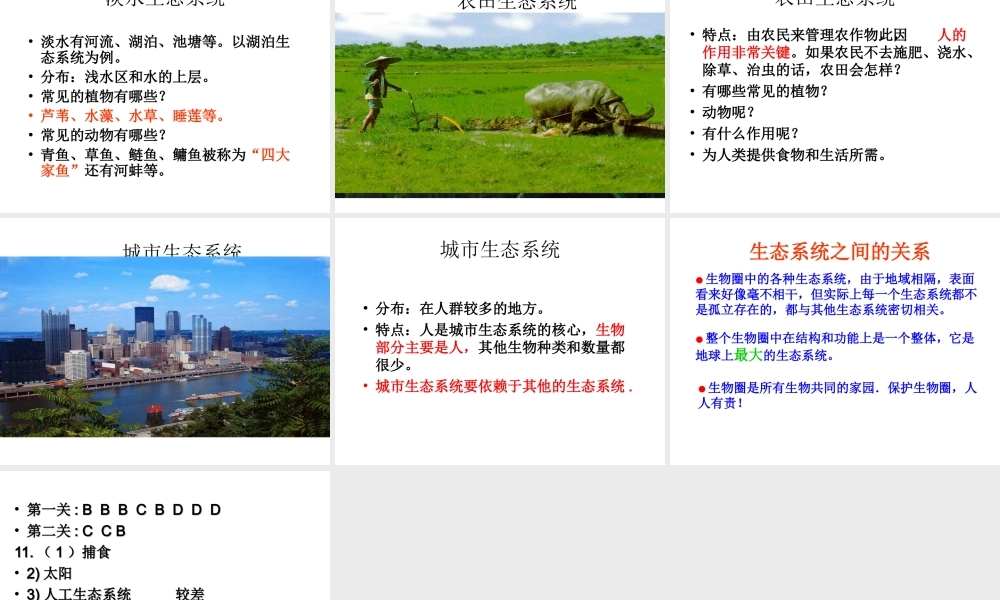 八年级生物下册 6.2.4 生态系统的类型课件 （新版）济南版-（新版）济南版初中八年级下册生物课件