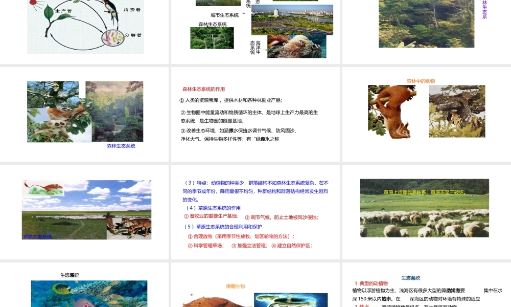 八年级生物下册 7.2.1 生态系统的组成和类型课件 （新版）冀教版-（新版）冀教级下册生物课件