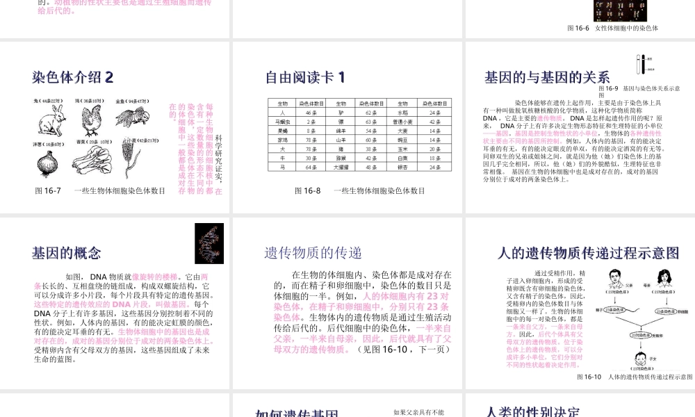 八年级生物下册 21.1《生物的遗传》课件 苏科版