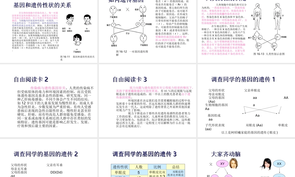 八年级生物下册 21.1《生物的遗传》课件 苏科版