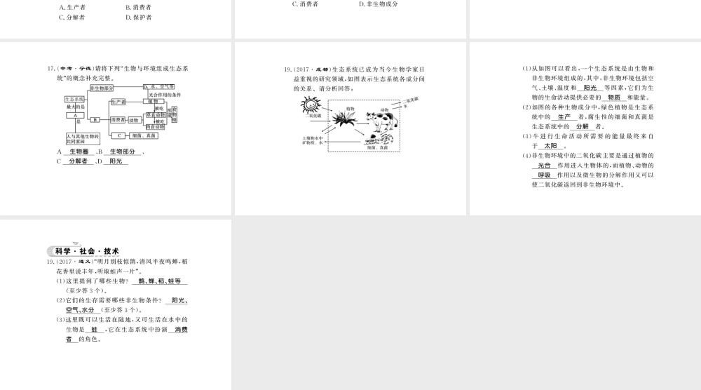 八年级生物下册 23.2 生态系统概述课件 （新版）北师大版-（新版）北师大版初中八年级下册生物课件