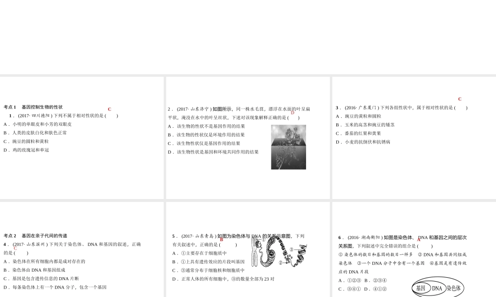 八年级生物下册 7.2生物的遗传和变异考点突破课件 （新版）新人教版-（新版）新人教版初中八年级下册生物课件