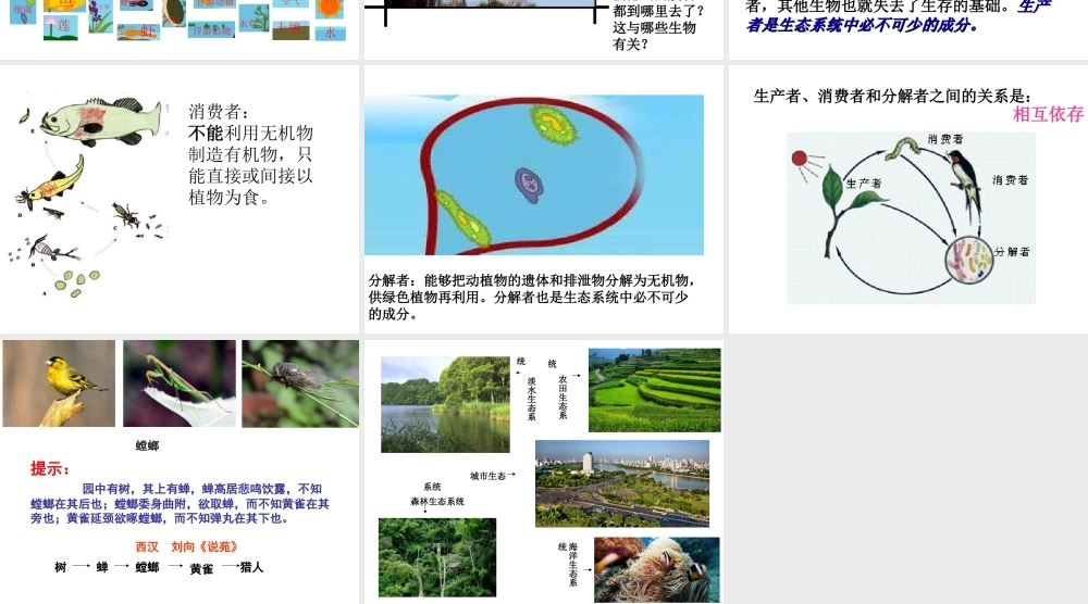 八年级生物下册 7.2.1 生态系统的组成和类型课件 冀教版-冀教版初中八年级下册生物课件