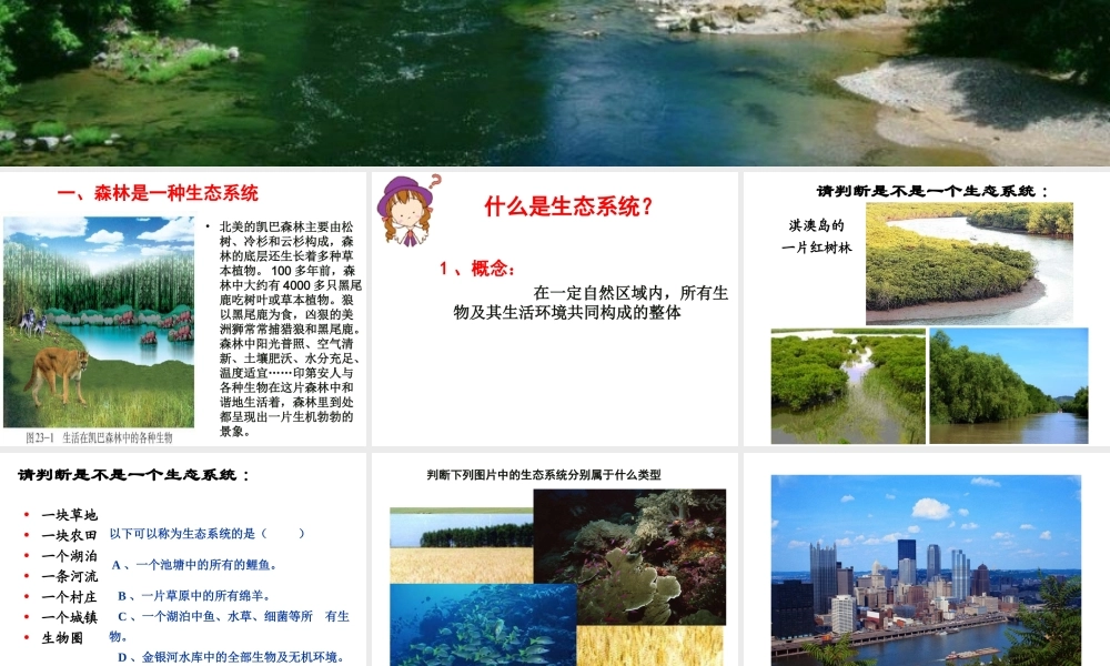 八年级生物下册 23.2 生态系统概述课件 北师大版-北师大版初中八年级下册生物课件