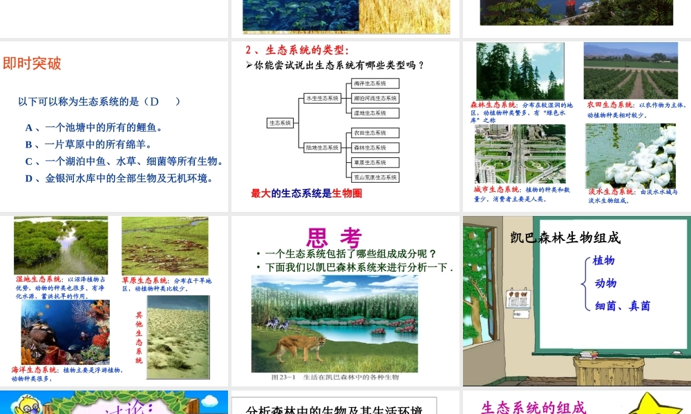 八年级生物下册 23.2 生态系统概述课件 北师大版-北师大版初中八年级下册生物课件